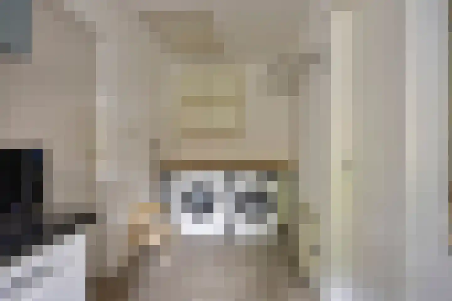 Korte Molenstraat 2 Driel thumbnail 24