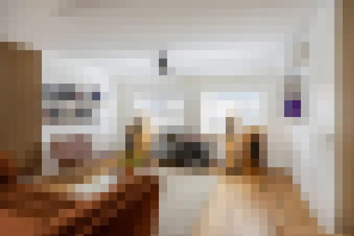 Korte Molenstraat 2 Driel thumbnail 27