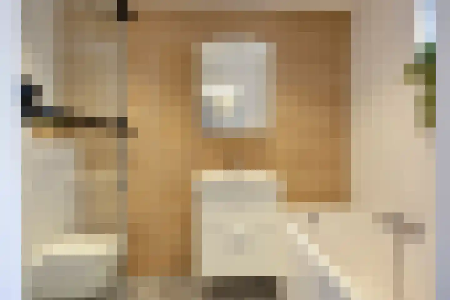 Korte Molenstraat 2 Driel thumbnail 29