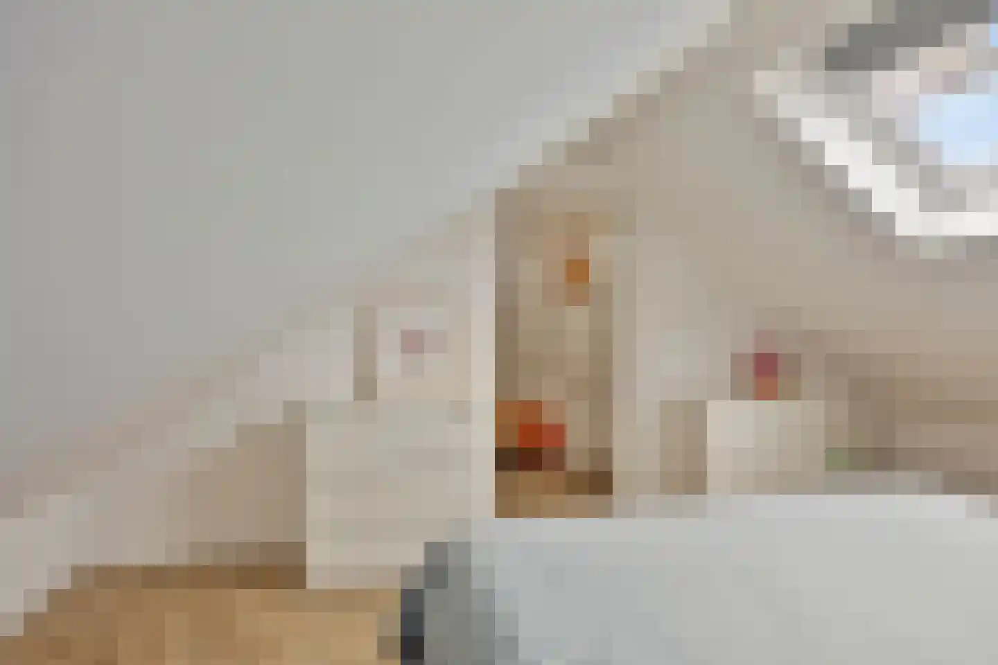 Korte Molenstraat 2 Driel thumbnail 37