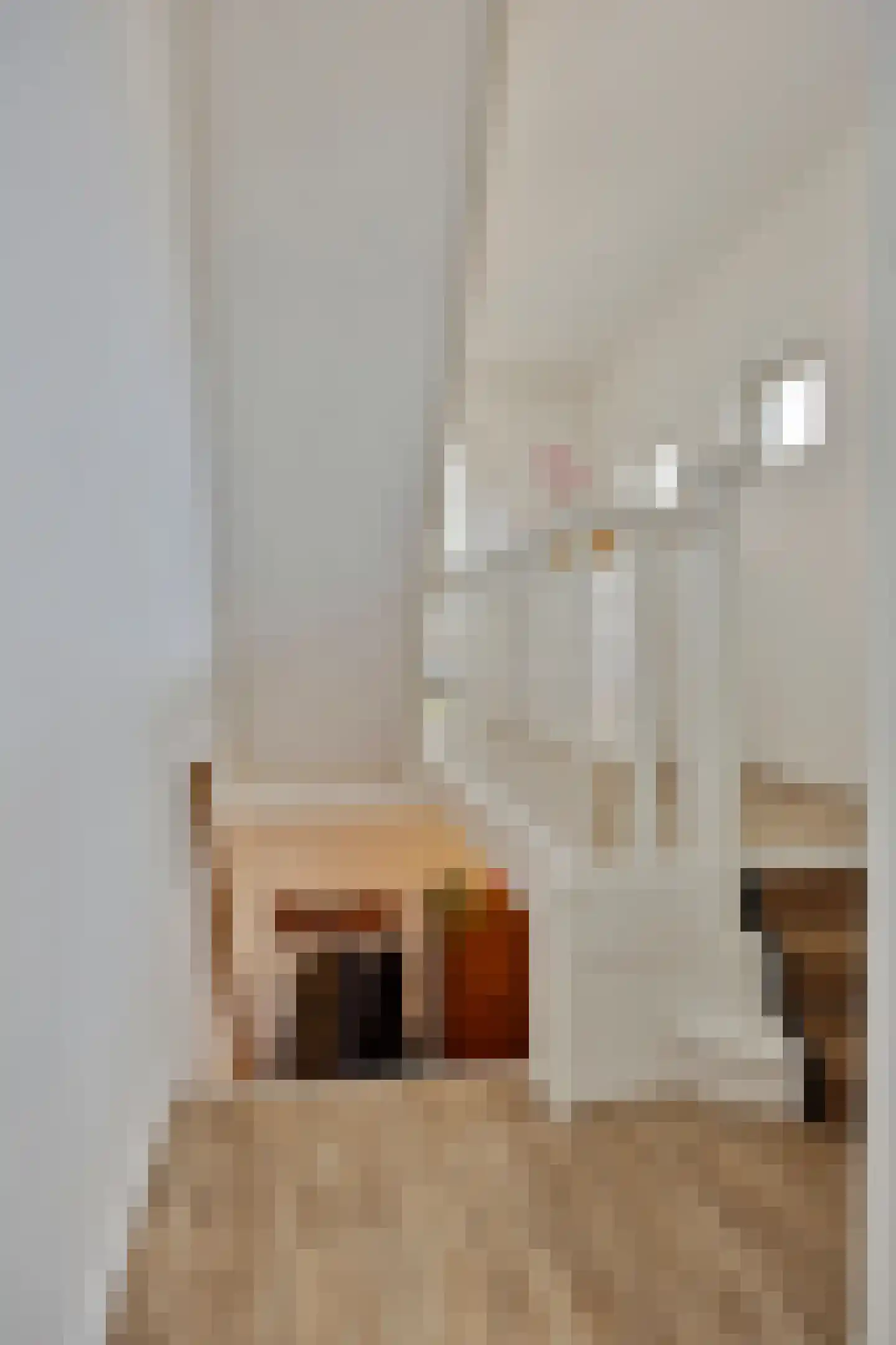 Korte Molenstraat 2 Driel thumbnail 38