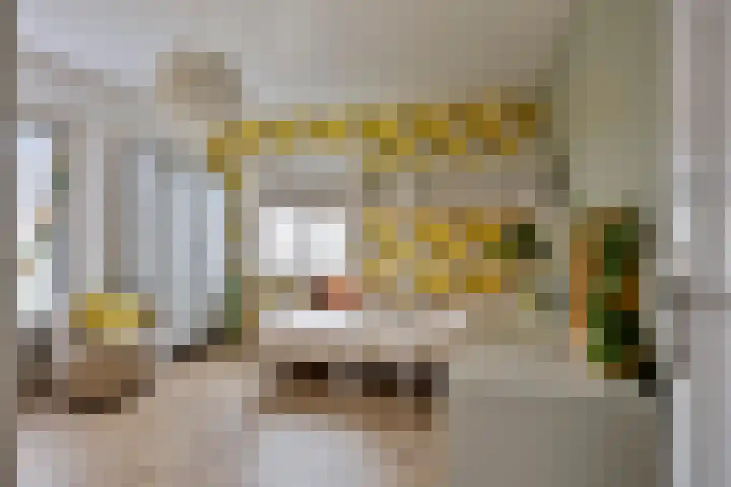 Korte Molenstraat 2 Driel thumbnail 40