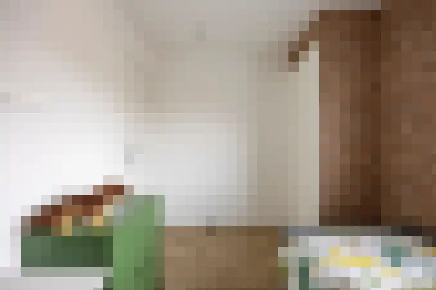 Korte Molenstraat 2 Driel thumbnail 45