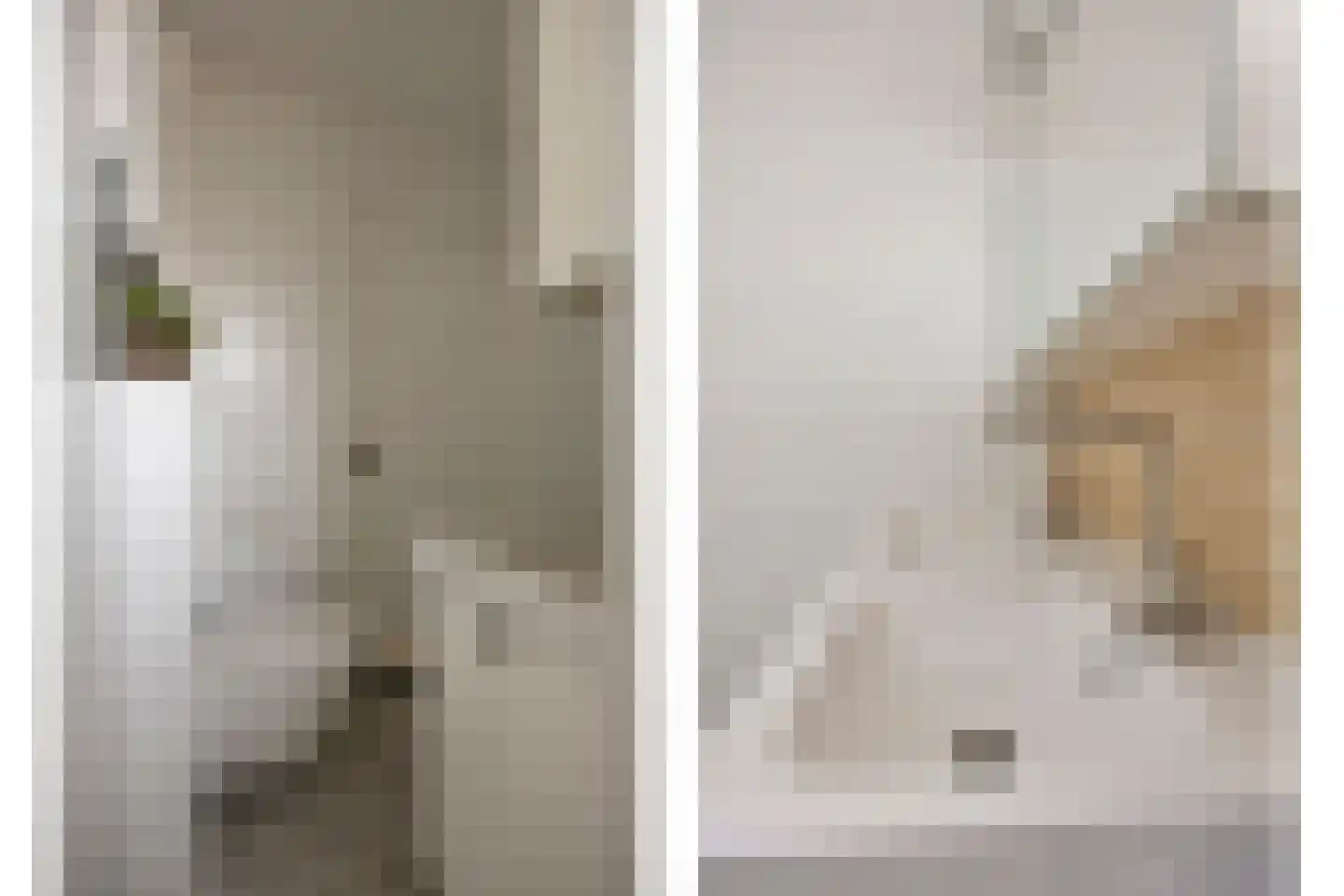 Korte Molenstraat 2 Driel thumbnail 47