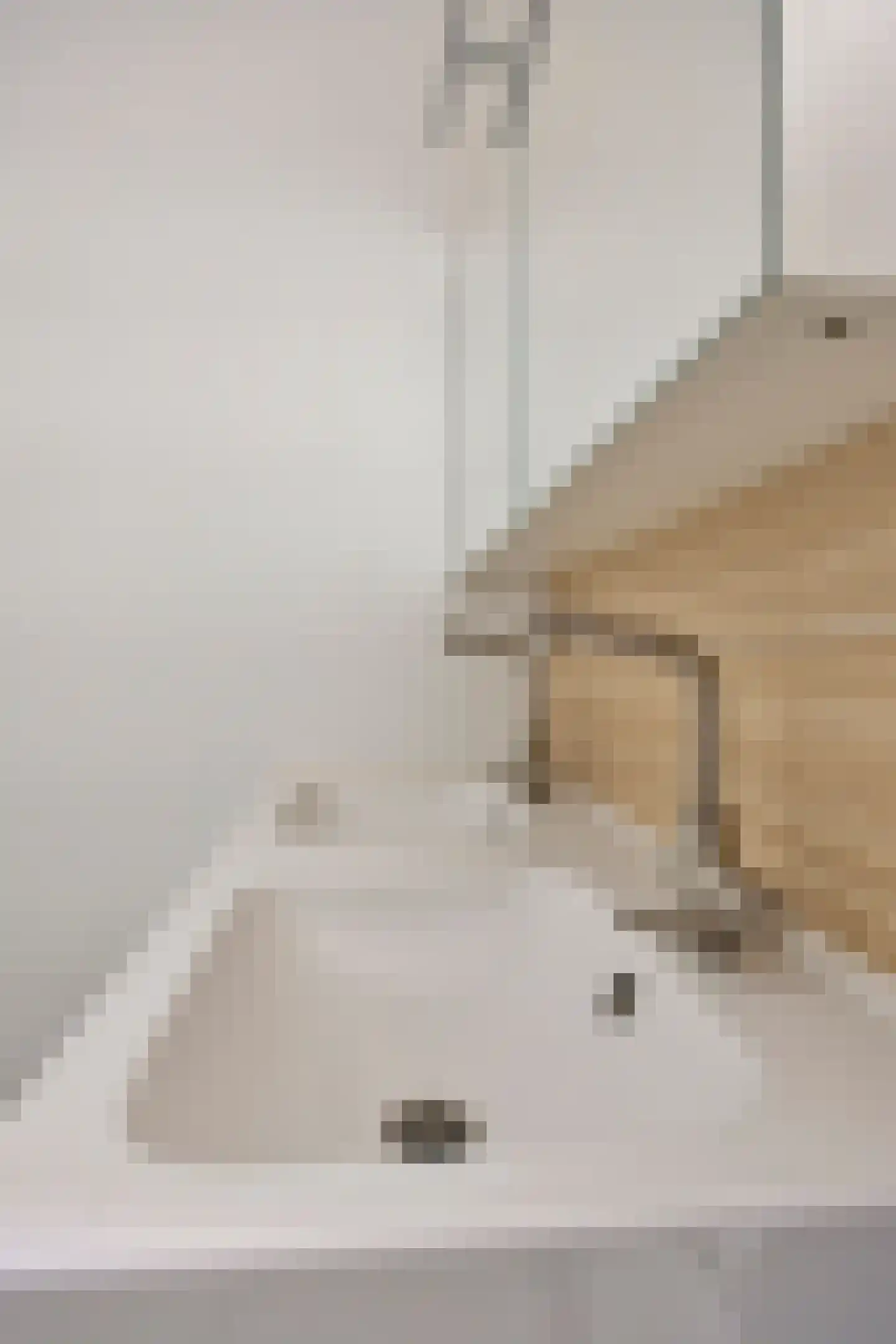 Korte Molenstraat 2 Driel thumbnail 49