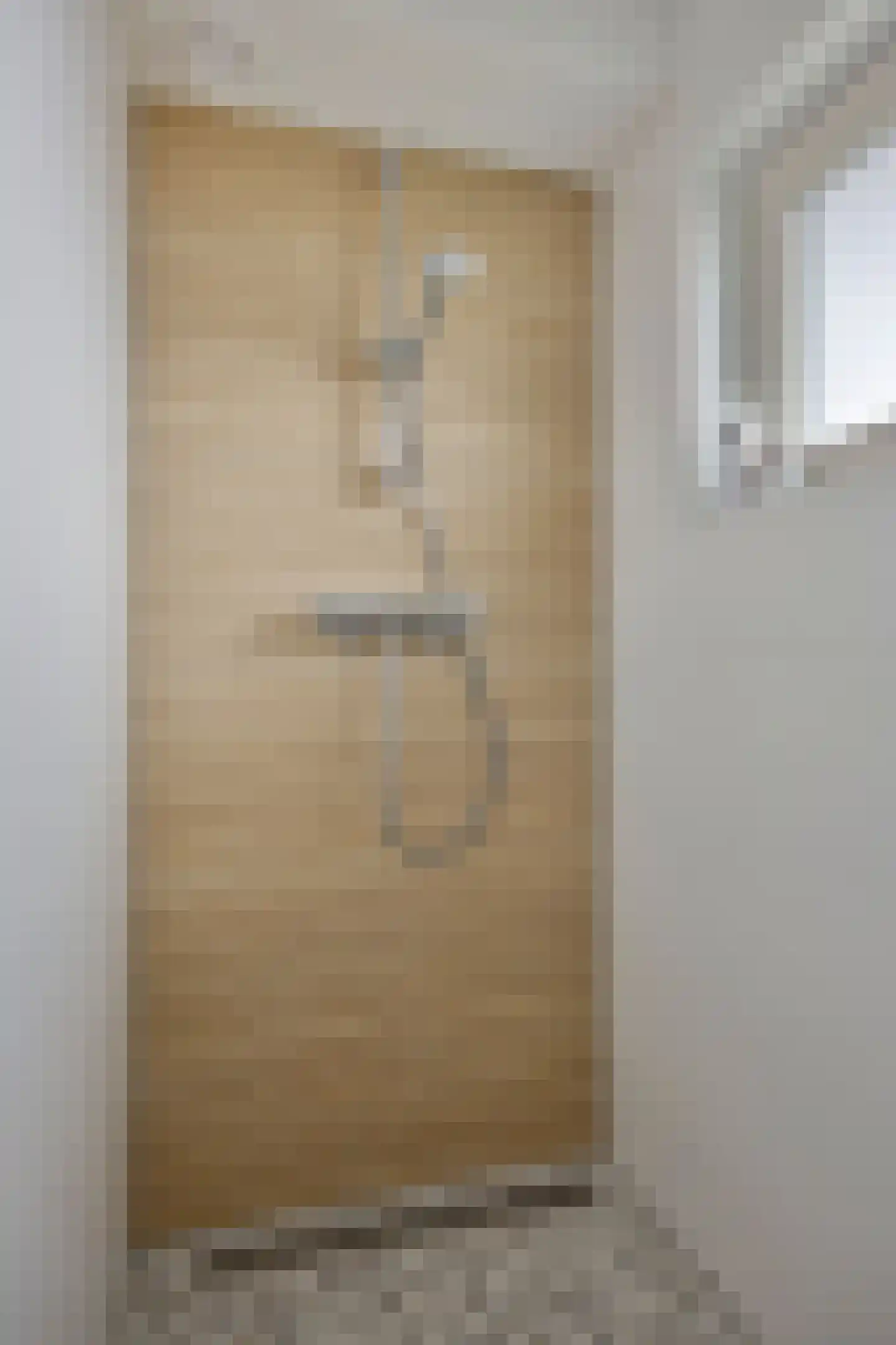 Korte Molenstraat 2 Driel thumbnail 52