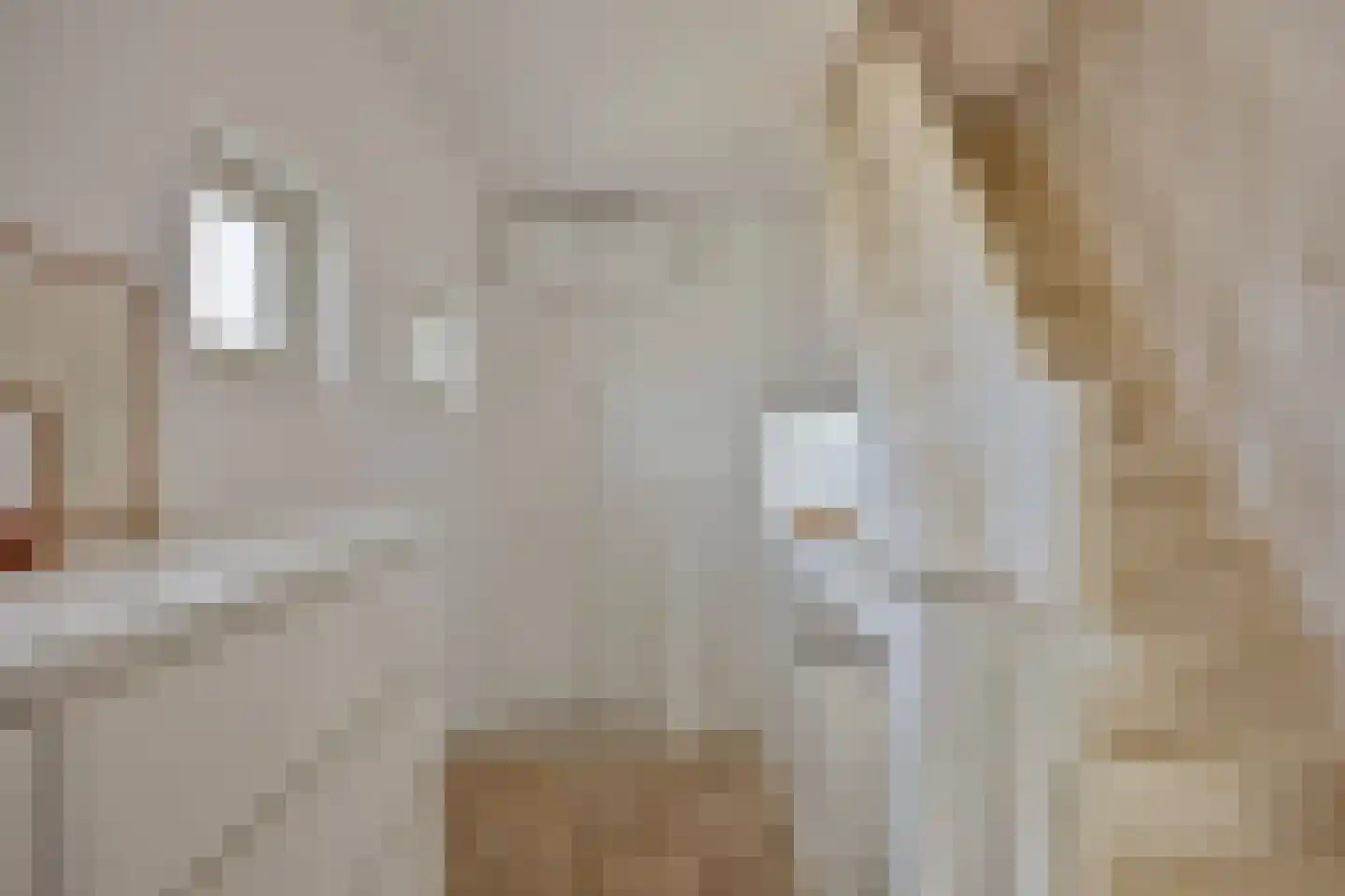 Korte Molenstraat 2 Driel thumbnail 53