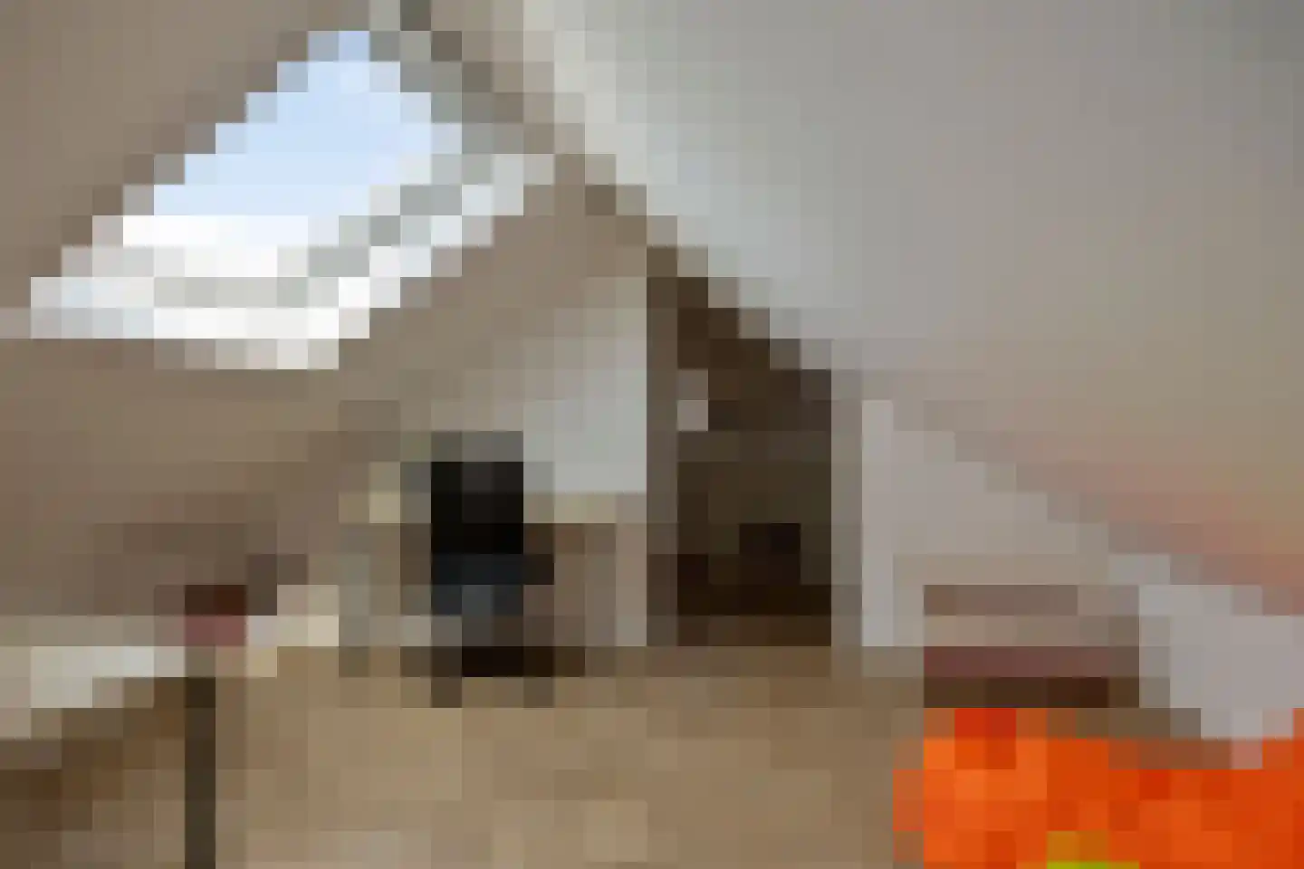 Korte Molenstraat 2 Driel thumbnail 56