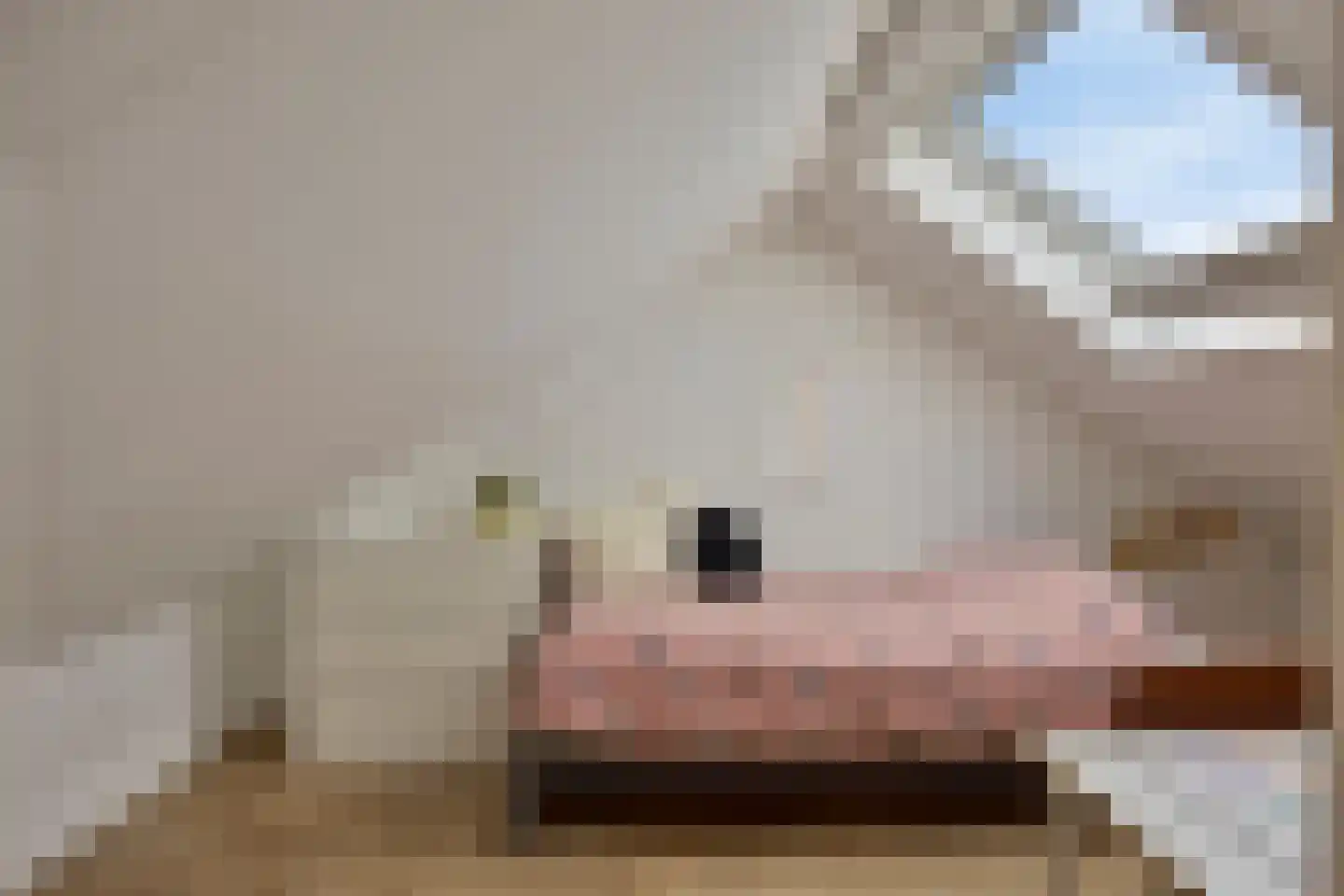 Korte Molenstraat 2 Driel thumbnail 57