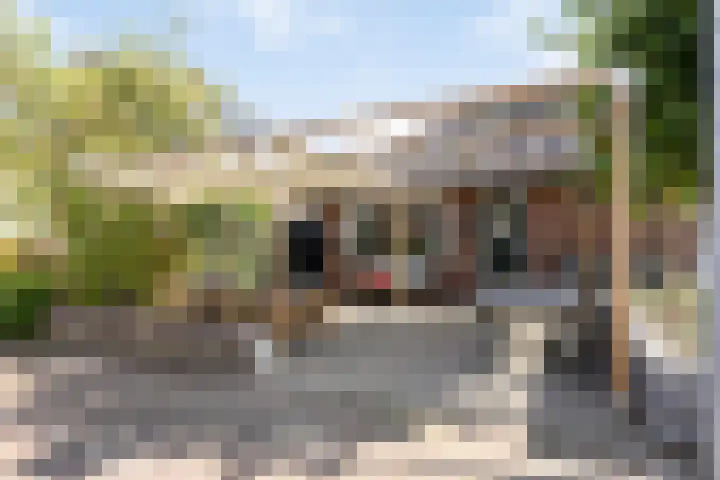 Korte Molenstraat 2 Driel thumbnail 61