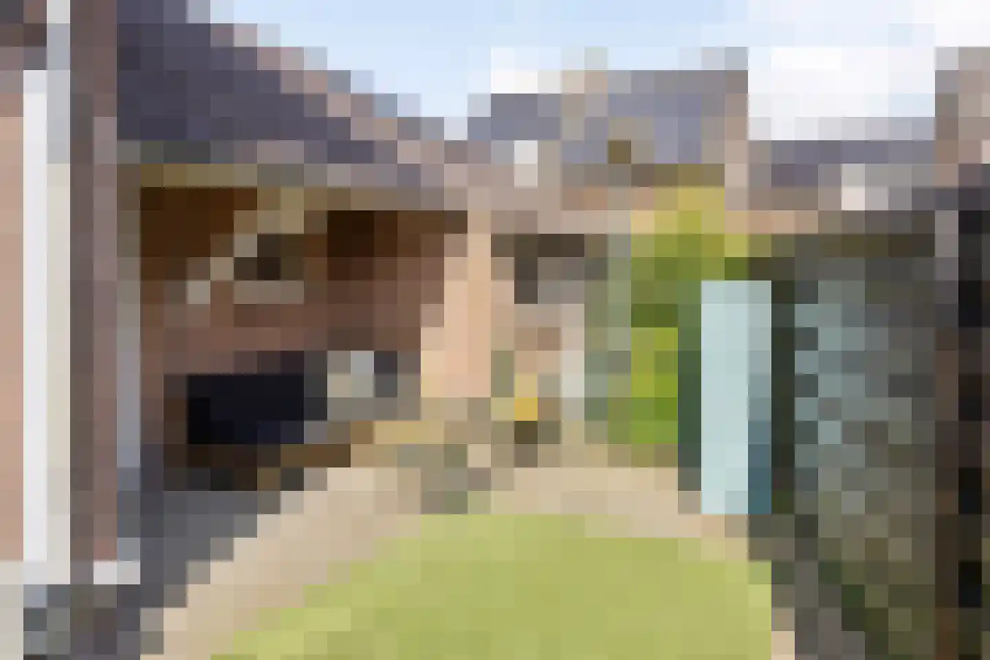 Korte Molenstraat 2 Driel thumbnail 64
