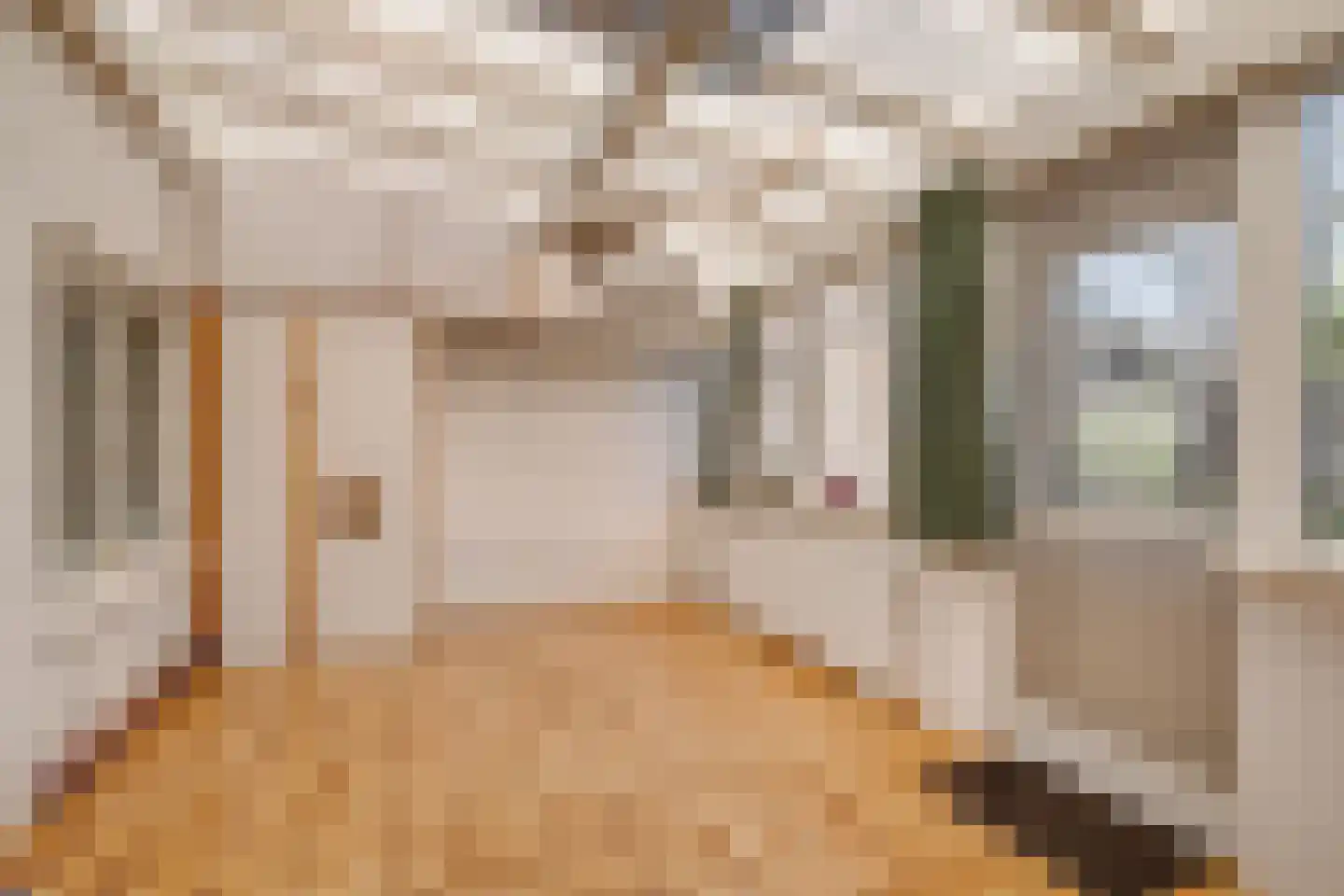 Korte Molenstraat 6 Borculo thumbnail 14