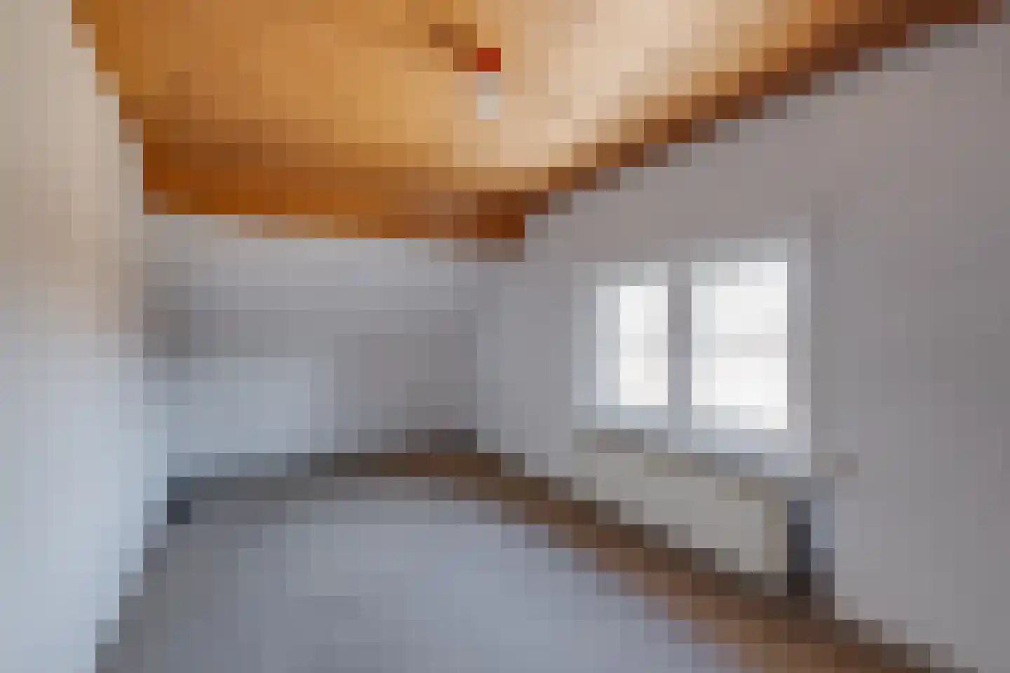 Korte Molenstraat 6 Borculo thumbnail 22