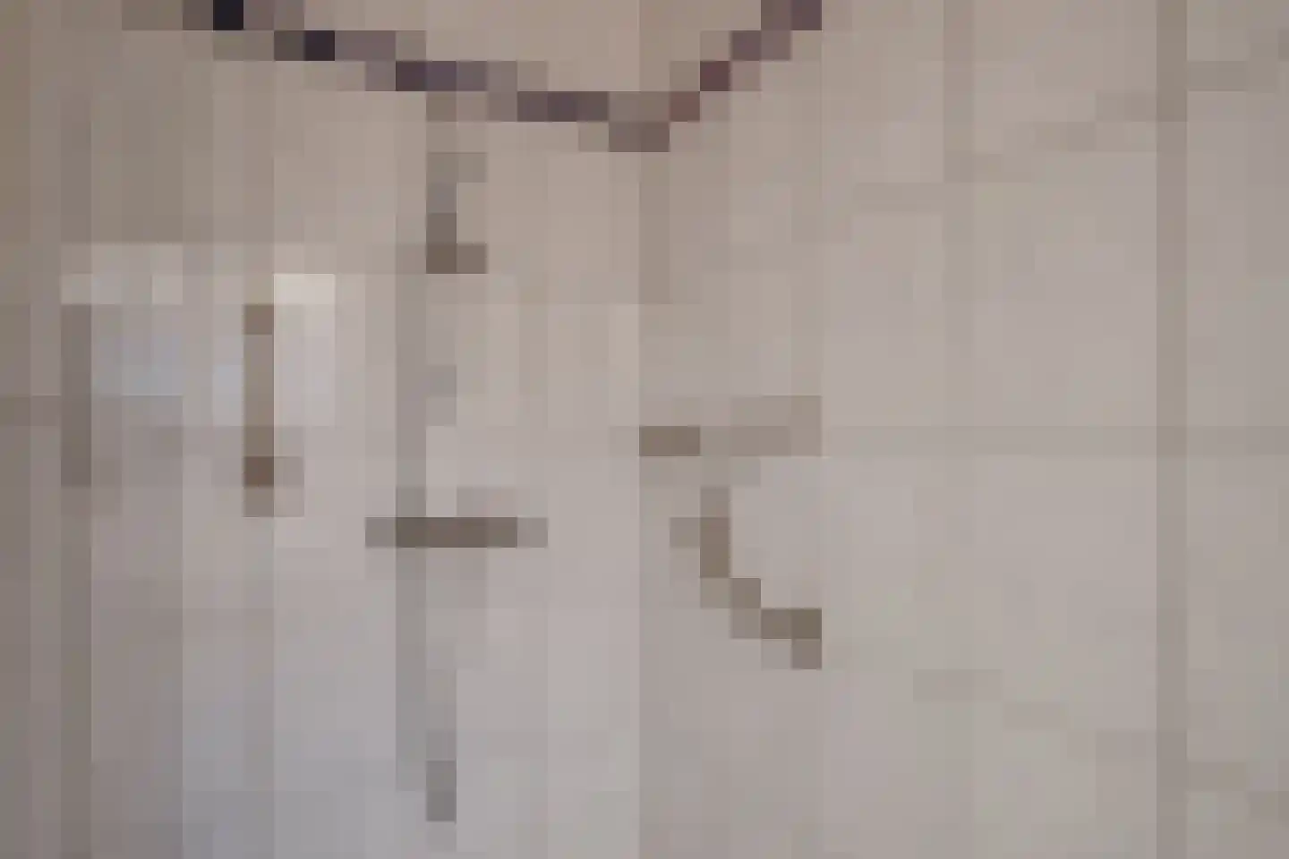 Korte Molenstraat 6 Borculo thumbnail 5