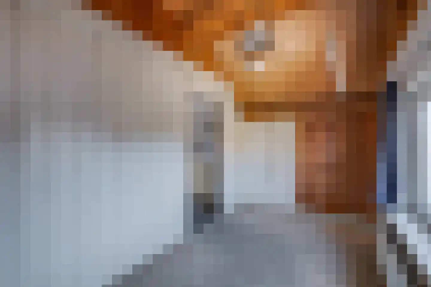 Korte Molenstraat 6 Borculo thumbnail 6