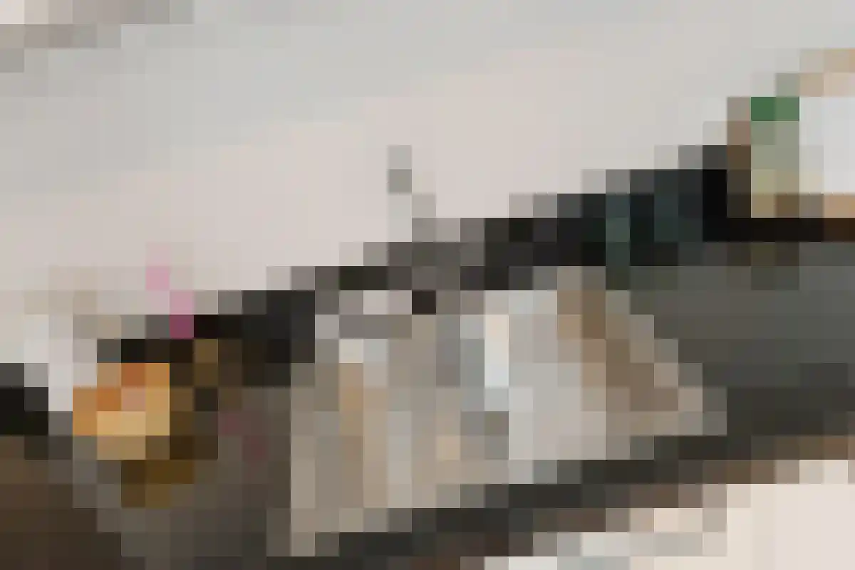 Korte Molenstraat 6 Den Haag thumbnail 5