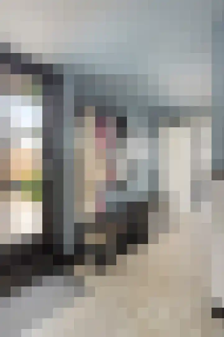 Korte Molenstraat 7 Driel thumbnail 16