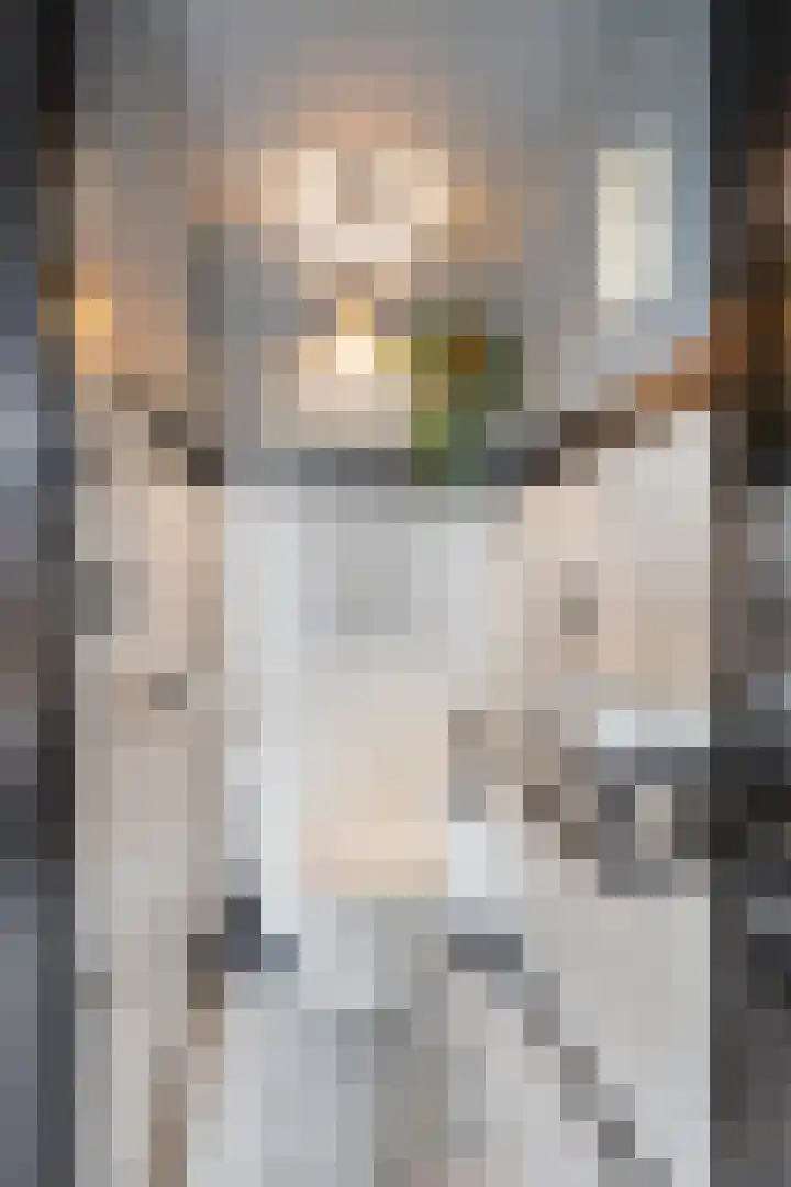 Korte Molenstraat 7 Driel thumbnail 17
