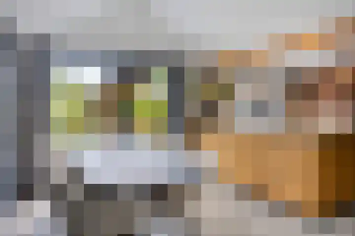 Korte Molenstraat 7 Driel thumbnail 18