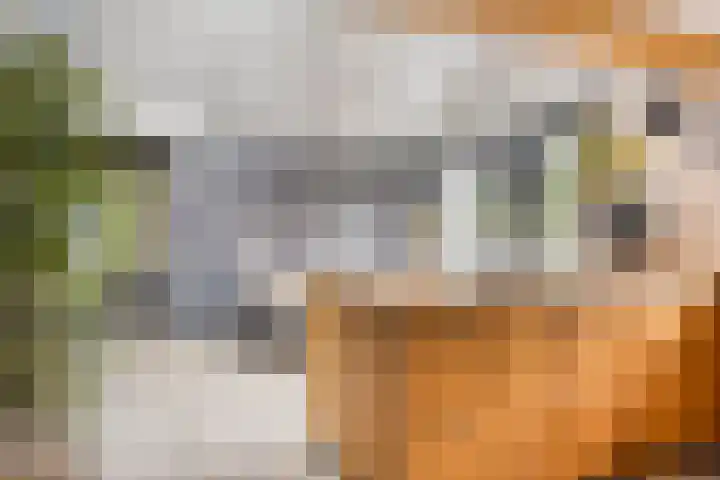 Korte Molenstraat 7 Driel thumbnail 19