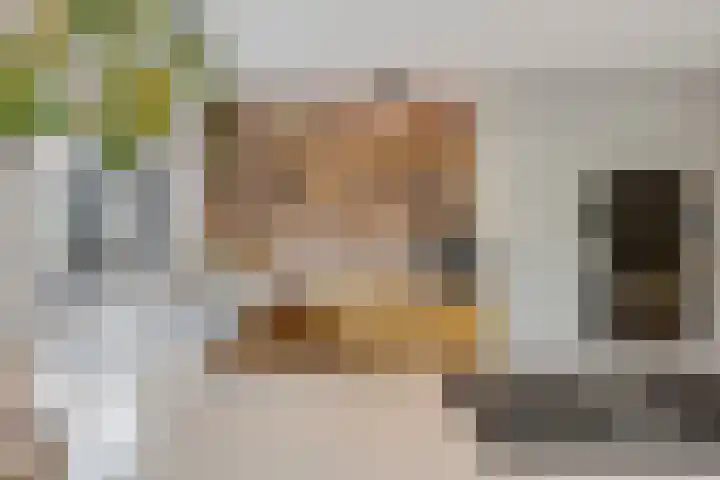 Korte Molenstraat 7 Driel thumbnail 21