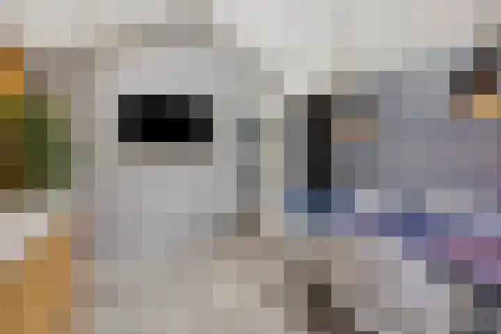 Korte Molenstraat 7 Driel thumbnail 24