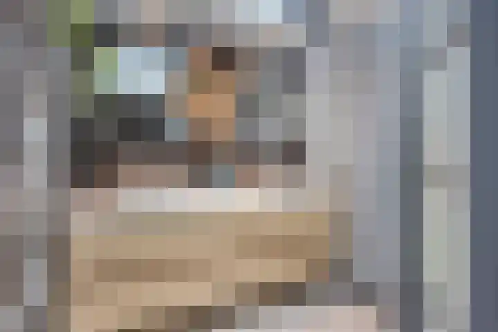 Korte Molenstraat 7 Driel thumbnail 26