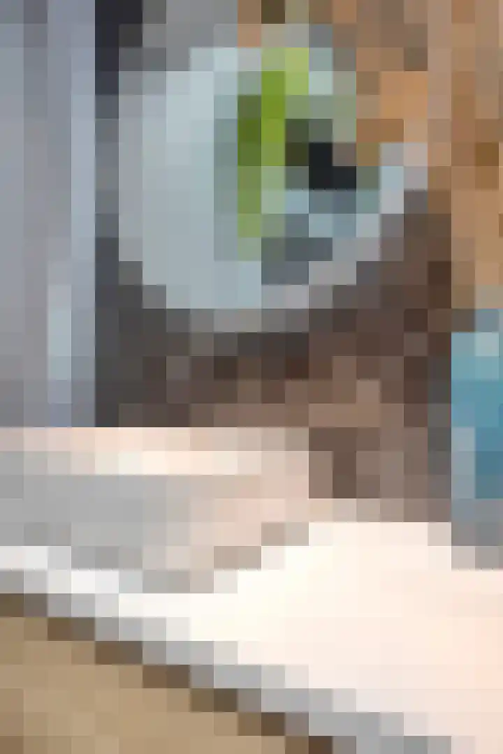 Korte Molenstraat 7 Driel thumbnail 28