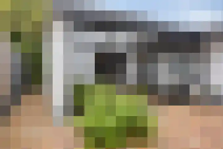 Korte Molenstraat 7 Driel thumbnail 31