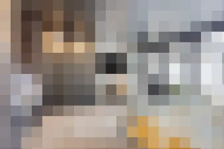 Korte Molenstraat 7 Driel thumbnail 33
