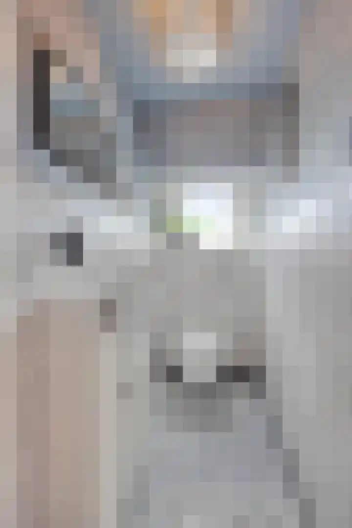 Korte Molenstraat 7 Driel thumbnail 39