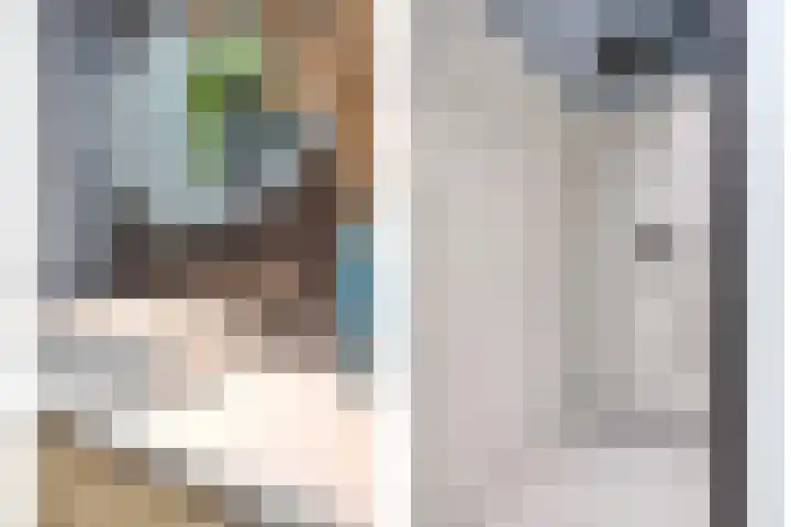 Korte Molenstraat 7 Driel thumbnail 4