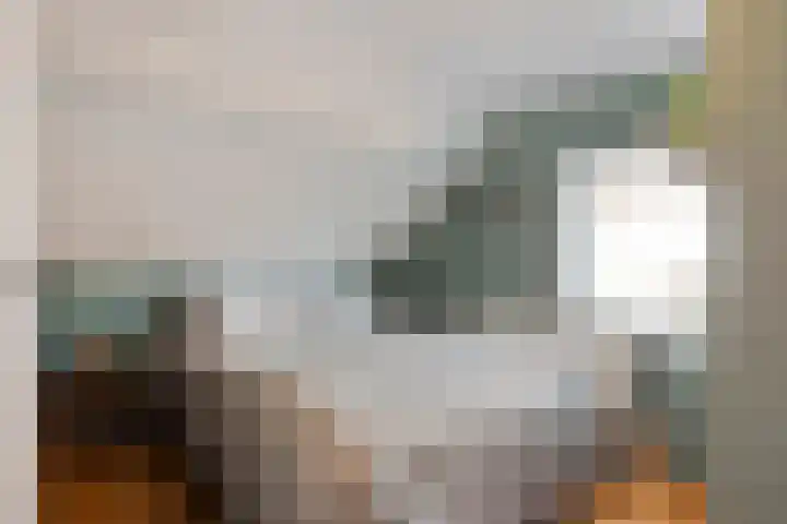 Korte Molenstraat 7 Driel thumbnail 40