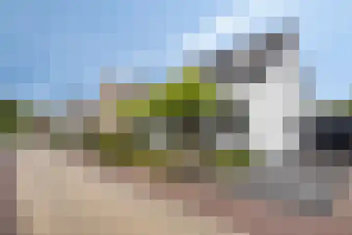 Korte Molenstraat 7 Driel thumbnail 46