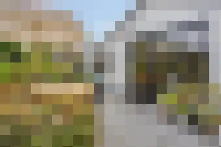 Korte Molenstraat 7 Driel thumbnail 47