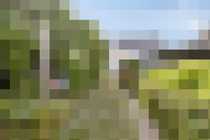 Korte Molenstraat 7 Driel thumbnail 48