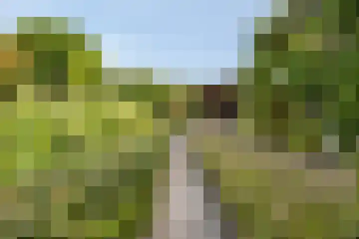Korte Molenstraat 7 Driel thumbnail 49
