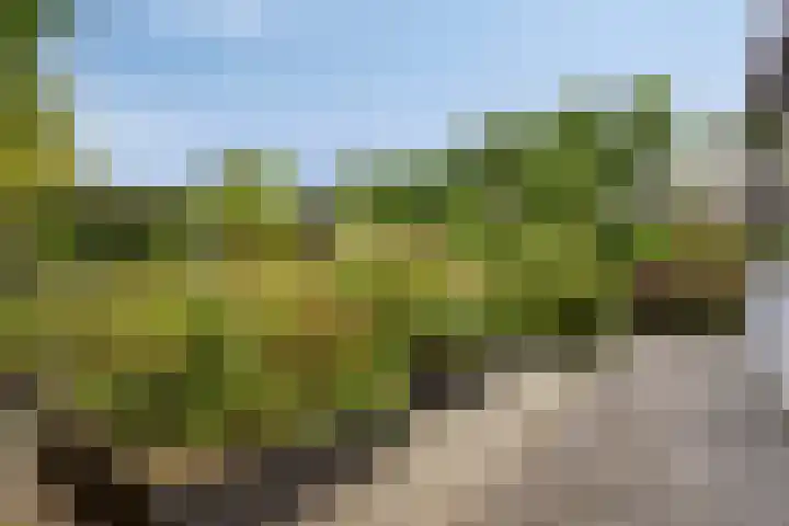 Korte Molenstraat 7 Driel thumbnail 50