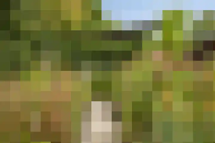Korte Molenstraat 7 Driel thumbnail 51