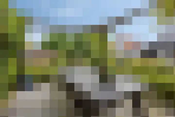 Korte Molenstraat 7 Driel thumbnail 52