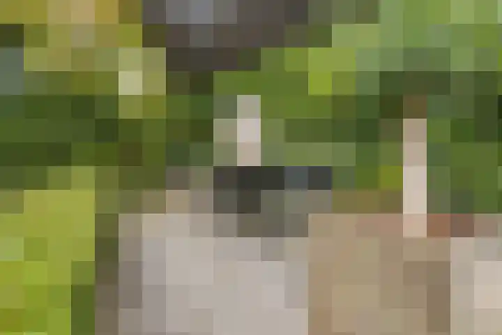 Korte Molenstraat 7 Driel thumbnail 53