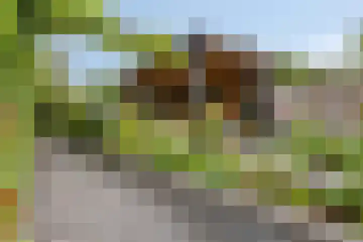 Korte Molenstraat 7 Driel thumbnail 54
