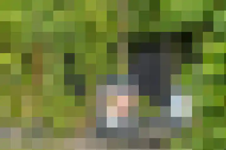 Korte Molenstraat 7 Driel thumbnail 55