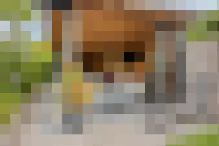 Korte Molenstraat 7 Driel thumbnail 56