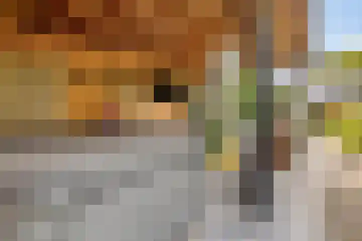Korte Molenstraat 7 Driel thumbnail 57