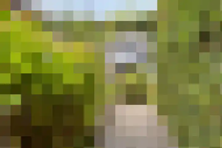 Korte Molenstraat 7 Driel thumbnail 59