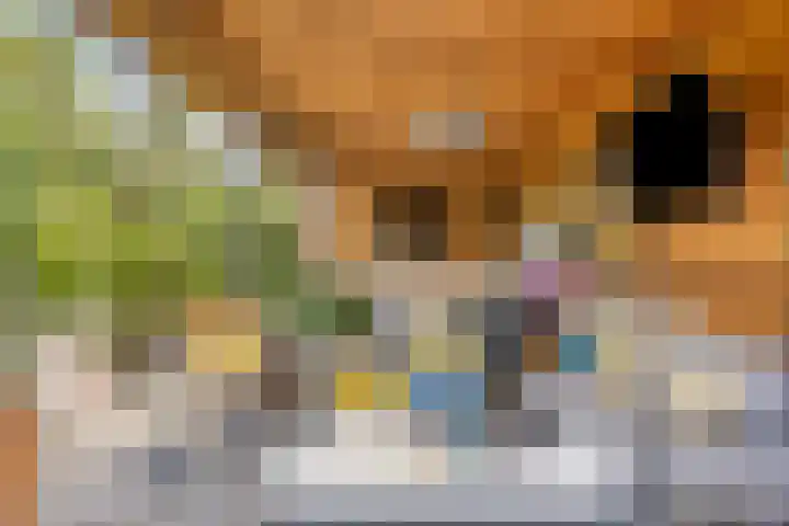 Korte Molenstraat 7 Driel thumbnail 62