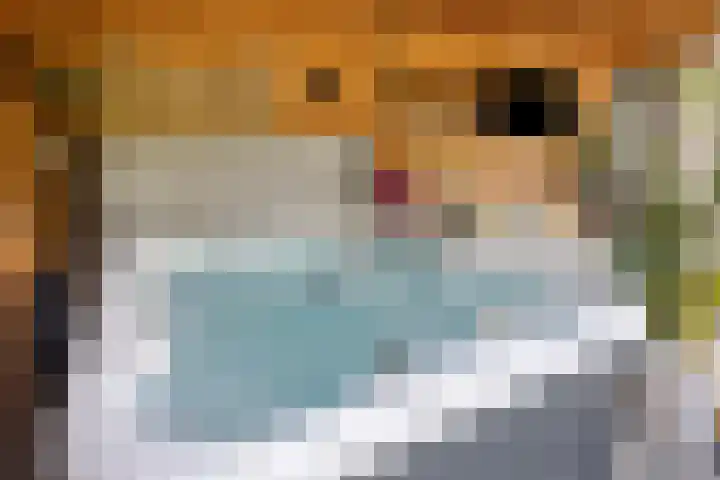 Korte Molenstraat 7 Driel thumbnail 63