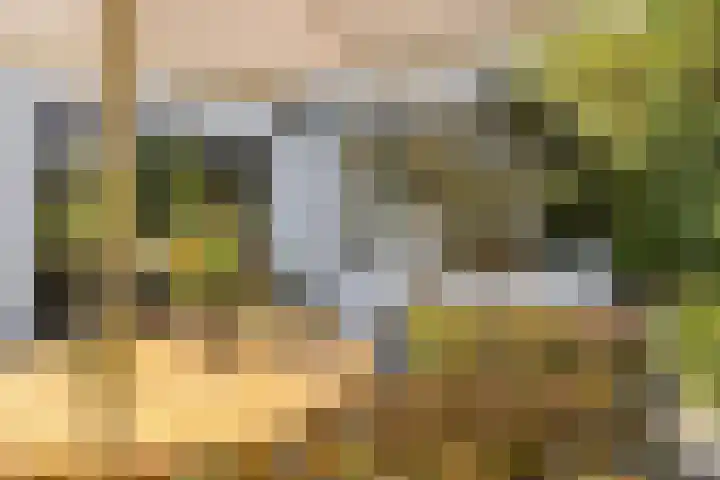 Korte Molenstraat 7 Driel thumbnail 64