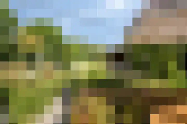Korte Molenstraat 7 Driel thumbnail 65